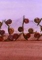 蜗牛海报