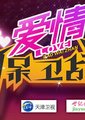 爱情保卫战海报
