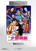 少爷威威 海报