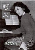 野火 海报