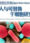 成人与可替换干细胞研究 海报
