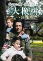 大橡树海报