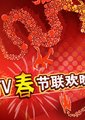 2012北京电视台春节联欢晚会海报