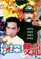 妙探双龙