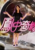 凤中奇缘 海报
