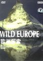 欧洲探索海报