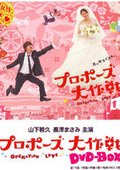 求婚大作战 海报