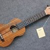 Yes or No 想爱就爱同款 ukulele 夏威夷小四弦琴！Aquila/Coco弦