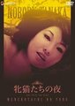 性感野猫之夜海报