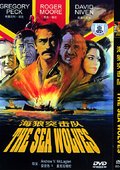 海狼突击队 海报