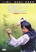 杂家小子 海报