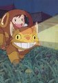 梅与小猫巴士海报
