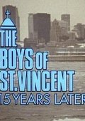 圣文生男孩II：15年后 海报