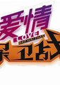 爱情保卫战海报