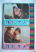 蹉跎岁月 海报