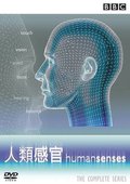 百感交集 海报