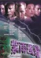 紫雨风暴海报