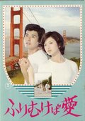 鸢之恋 海报