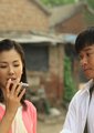 橄榄树