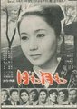 日兮月兮海报