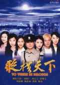 纵横天下 海报