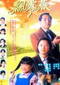 飘零燕海报