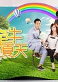 牵牛的夏天海报