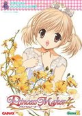 美少女梦工厂4 海报