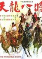 天龙八将 海报