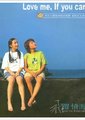 飞跃情海海报