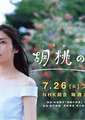 胡桃屋海报