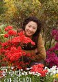 比花还美海报
