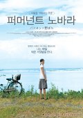 常开野蔷薇  海报