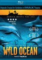 海洋世界