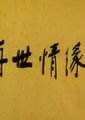 再世情缘海报