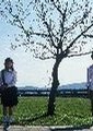 遗落的玻璃珠海报