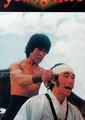 迷踪霍元甲海报