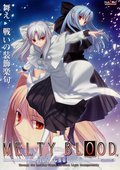 月姬格斗 海报