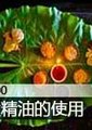 时尚100：10大精油的使用