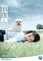 小孩·狗海报