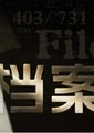 档案 