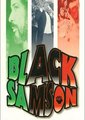 Black Samson海报