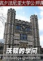 沃顿的学问