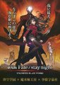 命运守护夜：无限剑制
