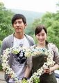 爱在桐花纷飞时海报