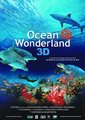 最大影像：海洋仙境海报