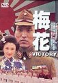 梅花海报
