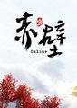 赤壁海报