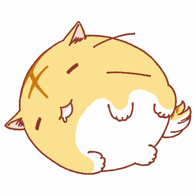 嘟嘟猫观察日记