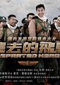远去的飞鹰